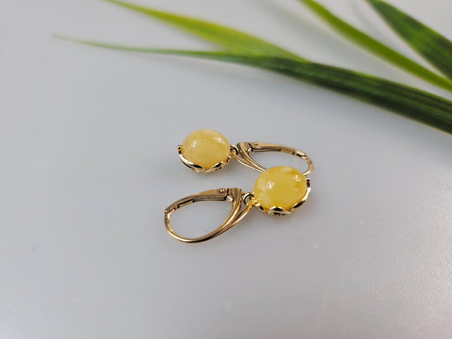 White Baltic amber earrings